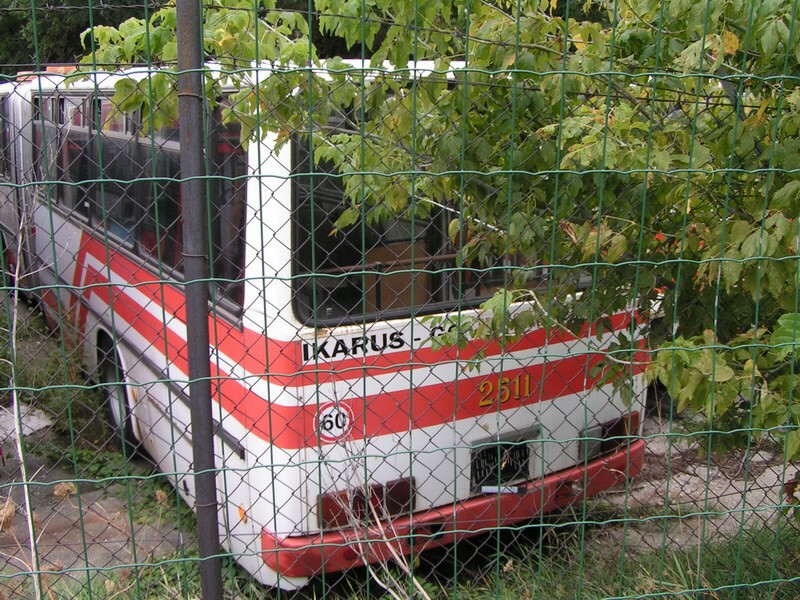 Ikarus 283 #2511