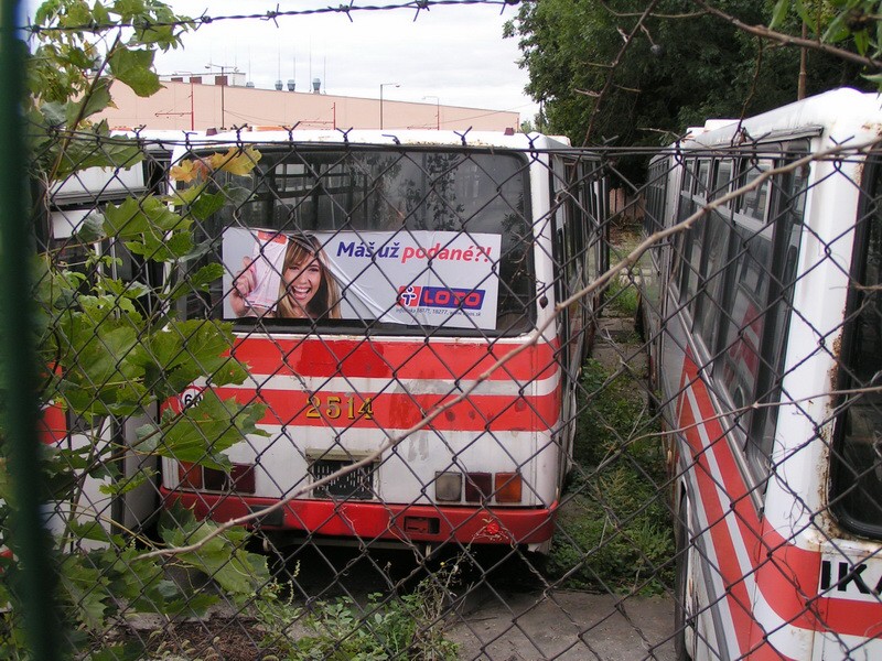 Ikarus 283 #2514