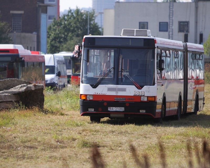 Ikarus 435 #2818