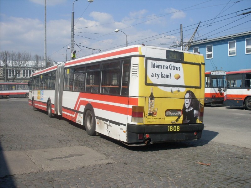 Ikarus 435 #4875