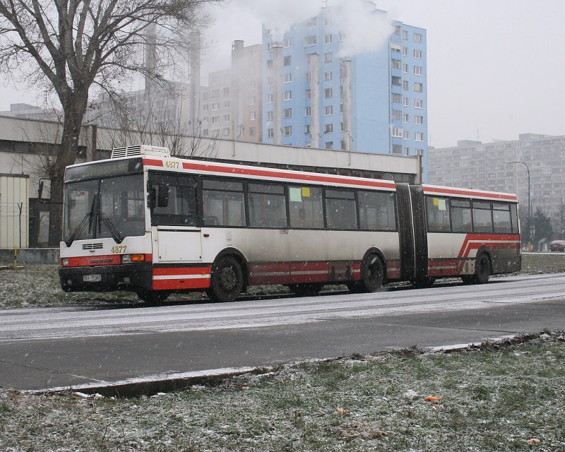 Ikarus 435 #4877