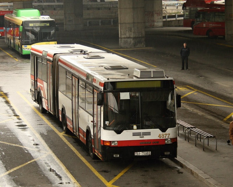 Ikarus 435 #4877