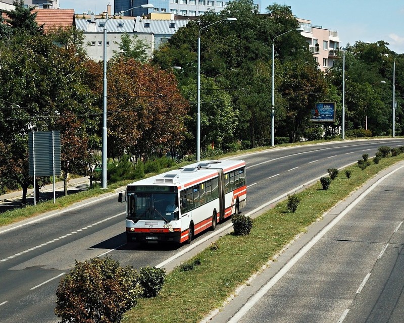 Ikarus 435 #4877