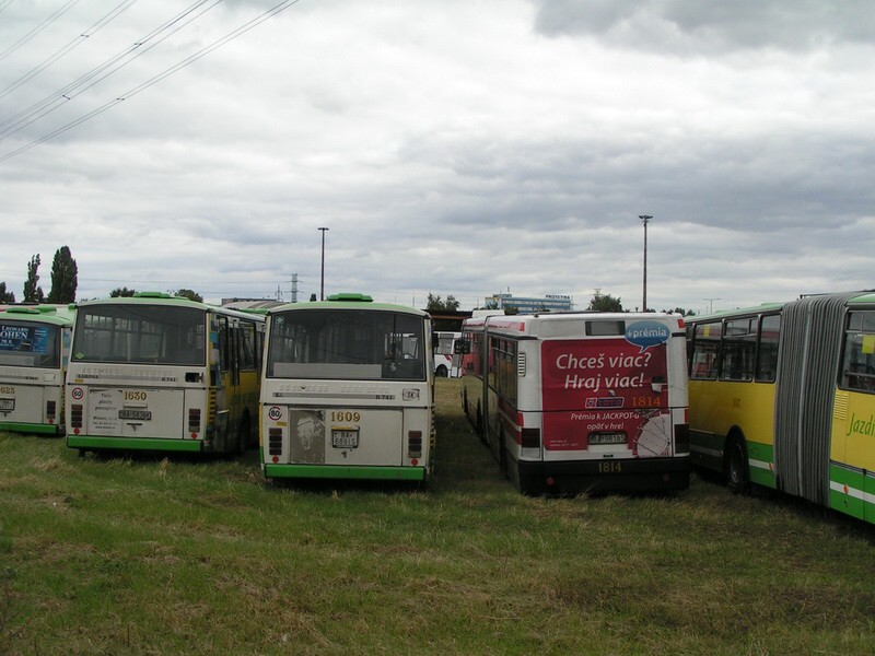 Ikarus 435 #4879